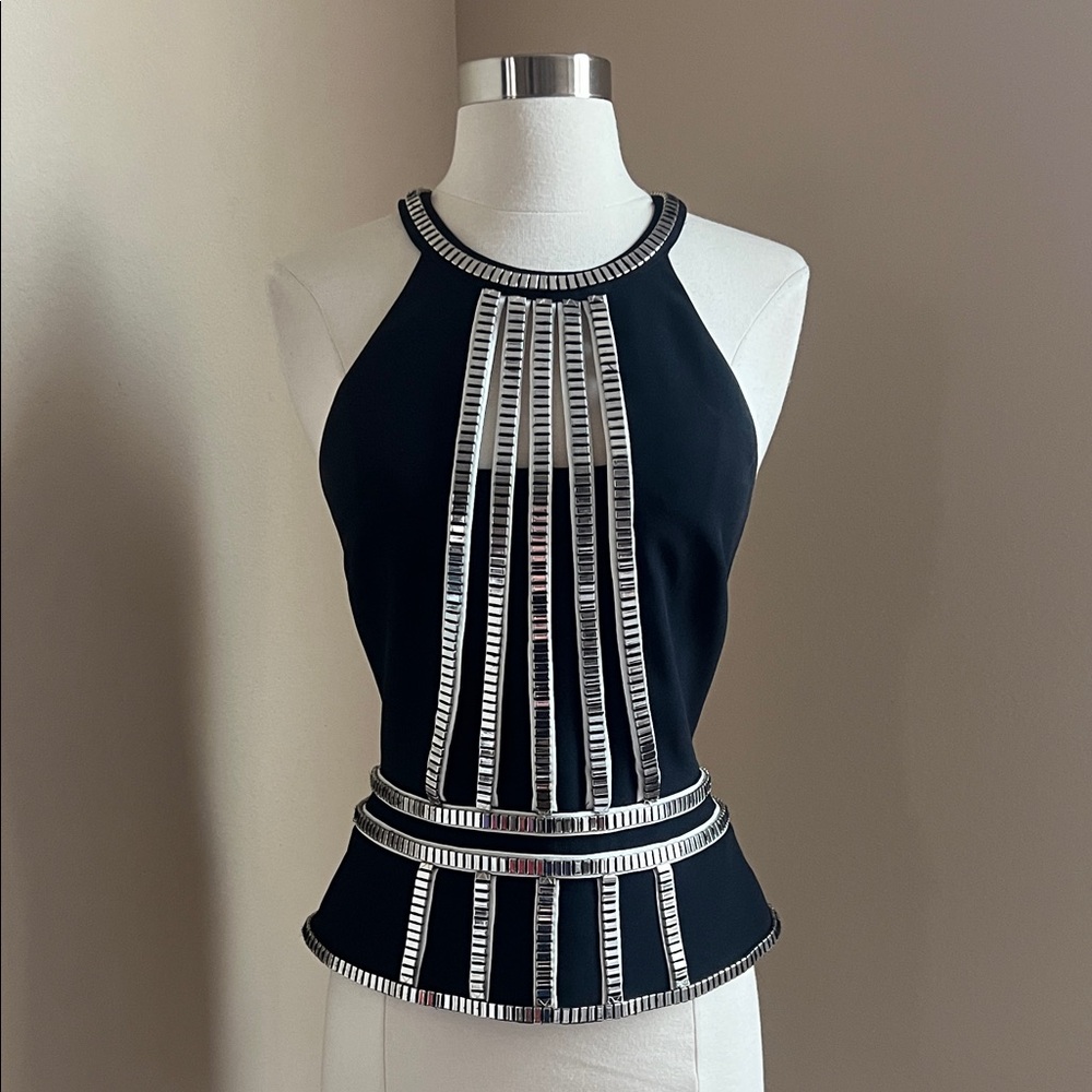 Sass and Bide Warrior Top